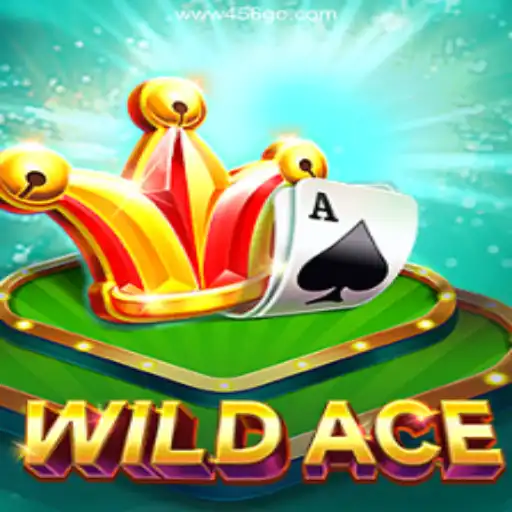 Exploring the World of WildAce: A Thrilling Addition to Online Gaming